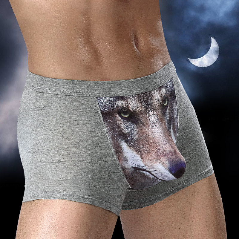 Men Trunks Plus Size Pouch Bul - огляд і ціна Boxer Shorts Modal